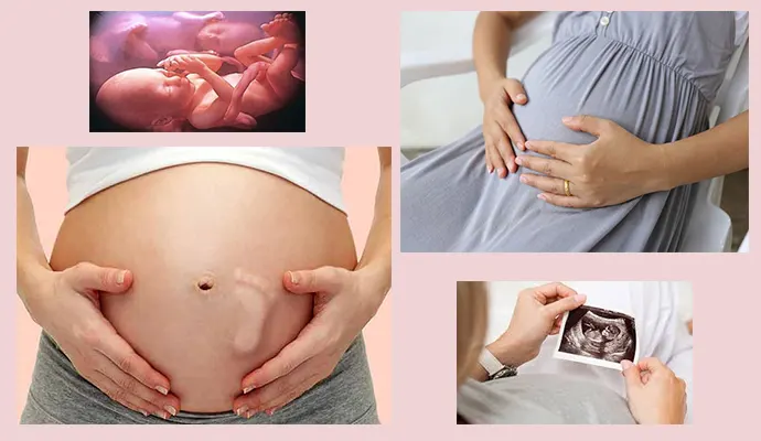 جنین در ماه های مختلف