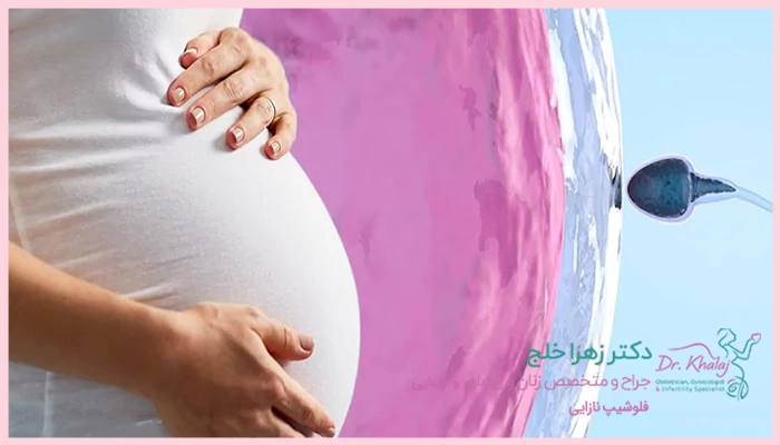 بهترین زمان برای انجام IUI در بانوان