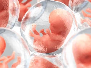 فریز تخمک در دختر مجرد