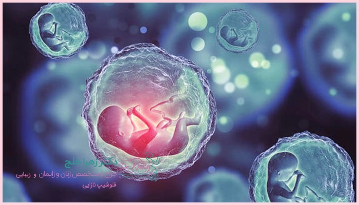 فریز تخمک در دختران مجرد چه دلیلی دارد؟