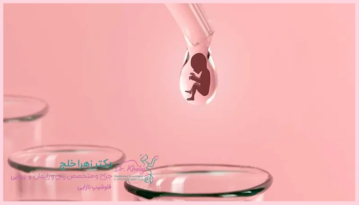 موفقیت فریز تخمک چقدر است؟